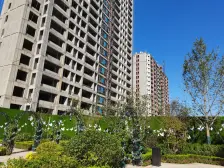 杨柳春风 3室1厅 南 北