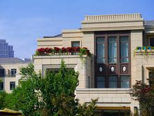 大华诺斐墅 5室3厅 南 北