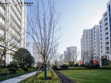 中海高品质 大金中柍空调 松下地暖 西门子科勒高装标