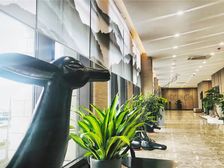 东河富力院士廷电梯房新小区环境优美视野好有本配贷