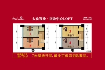 大众·国金中心LOFT70平米四钥匙户型图