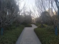 华发招商依云四季 3室2厅 南 北