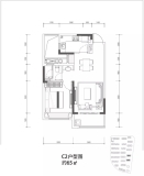 大家美颂C2户型