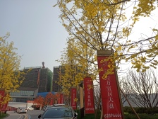南坪 中梁海成学林云璟二房125万