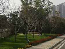 纯毛坯,小区环境优美,通透三房,离万达近