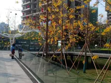 中建清能悦和城 3室2厅 东南