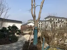 少有四房户型,次新中式园林小区,逛小区如逛公园