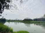 杨柳河绿道