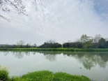 杨柳河绿道