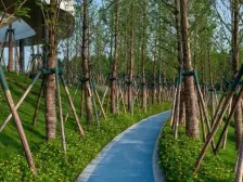 蓝光鹭湖长岛 3室1厅 南 北