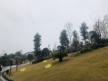 周边枫香湖儿童公园