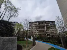 水土 金融街两江融府10号地块三房135万