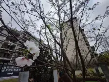 一梯两户大四房,户型通透,有入户花园,看中庭