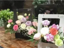 璧山高新区 上邦山居岁月二房94万