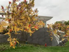 顶跃洋房 送屋顶花园 到轻轨站400米