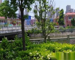 赏江苑自住精装修3房,中间位置带车位,业主诚心出售