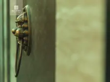 新中式分格 南北通透 全明户型