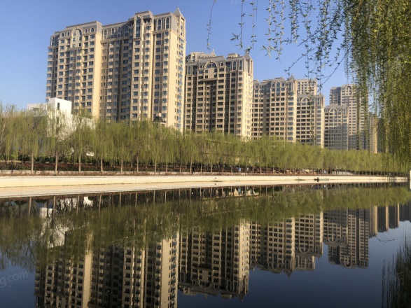 龙泽园
