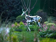 龙湖龙悦台 4室2厅 东南