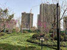 一手房手续 没有过户费 名下没有小孩上学