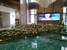 儿童公园白鹭湾,洋房大阳台,正朝南