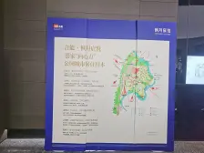 蔡家 合能枫丹宸悦一期四房81万