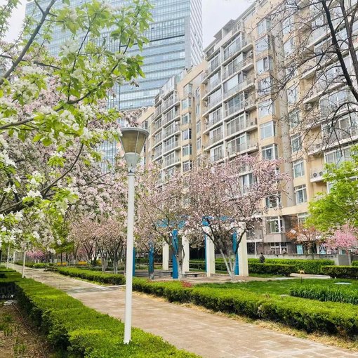 远洋天地1室1卫北朝向6300.00元/月出租