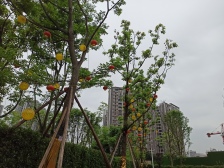 花溪 花溪御府二房64万