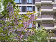 金融街两江融府 4室2厅 东南