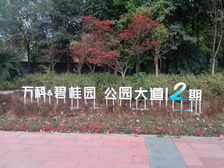 万科碧桂园公园大道 3室1厅 南 西南 东南