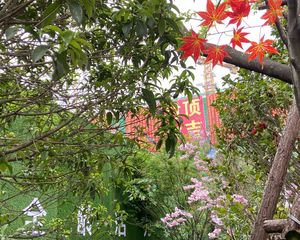 景域铂悦通透三房采光充足诚意出售。