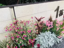 九龙坡 品质楼盘 中海九龙天颂 精装洋房 板式