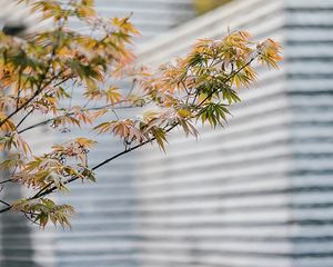 建业·中弘城3室2厅南北