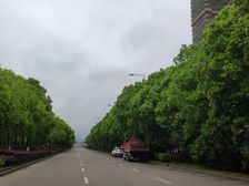 绿地88平户型方正双阳台毛坯房看房方便