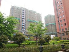 业主急售 吾悦广场 满二 看房方便