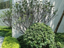 雅居乐滨江雅苑 三房 保养新净 楼层好