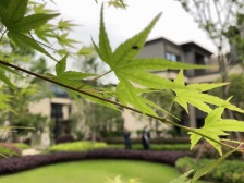 楼层好,楼间距大,视野宽广,小户型,三房双阳台