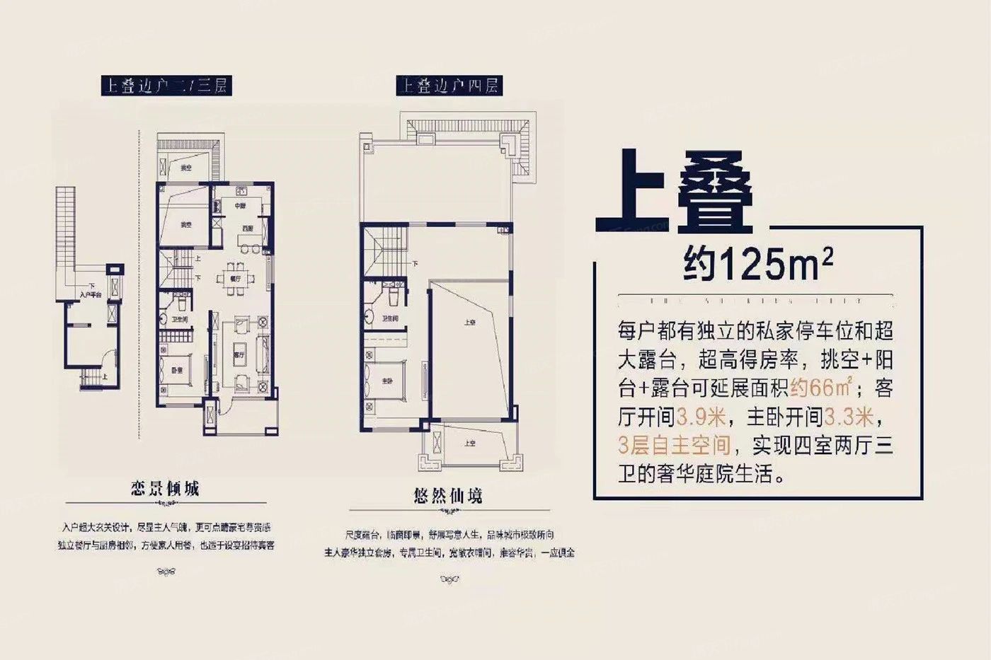 户型图1/1
