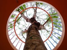 招商·保利依城大观 4室2厅 南 北