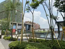 钓鱼嘴半岛 佳兆业滨江四季一期A区二房100万