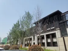 业主很诚心,诚心出售,大宽厅,别墅社区,环境好