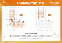 16号楼商铺户型图-在售-商铺