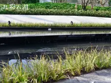 石坪桥 万科彩云湖三房