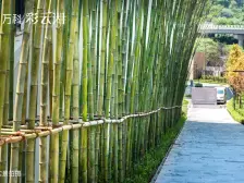 石坪桥 万科彩云湖三房170万