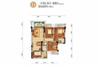 D洋房户型建面100平