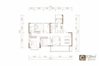 3号地块C1户型