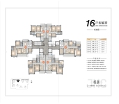 16栋01户型