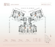 碧桂园·中央公园星钻01/02户型