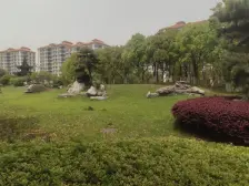 楼层好,视野宽阔,采光充足,配套设施齐全,交通便利