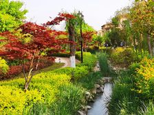 灞河水岸,精装花园洋房底跃产品带地下室带花园